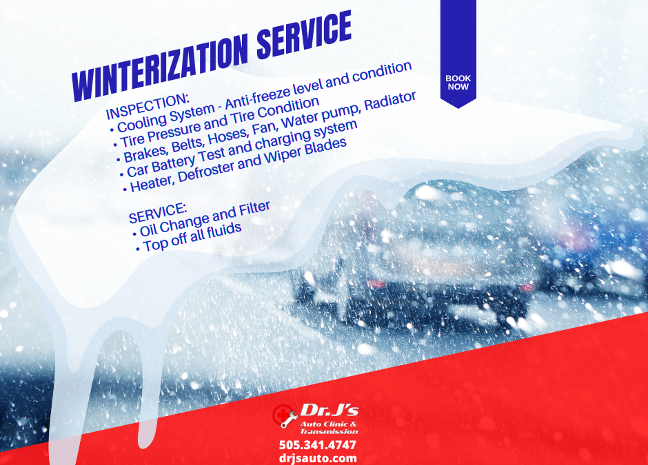 Dr. Js Winterization Special