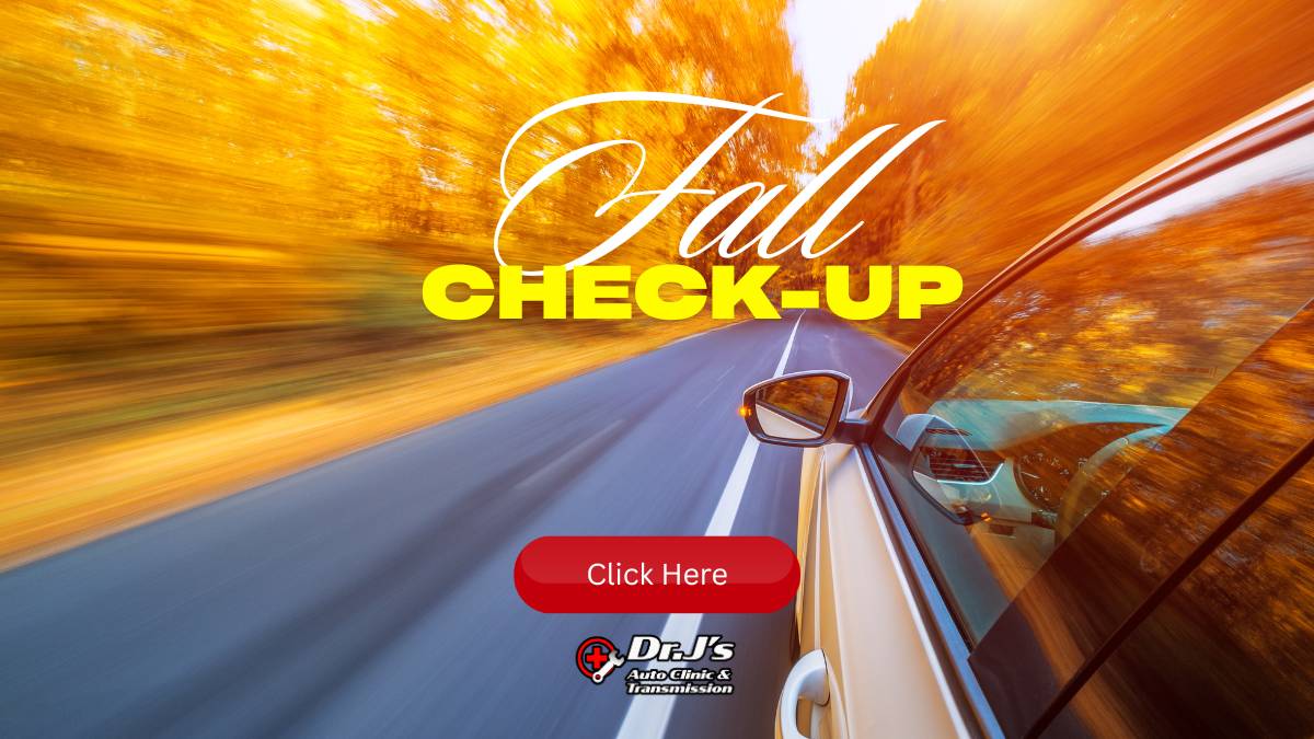 Fall check up